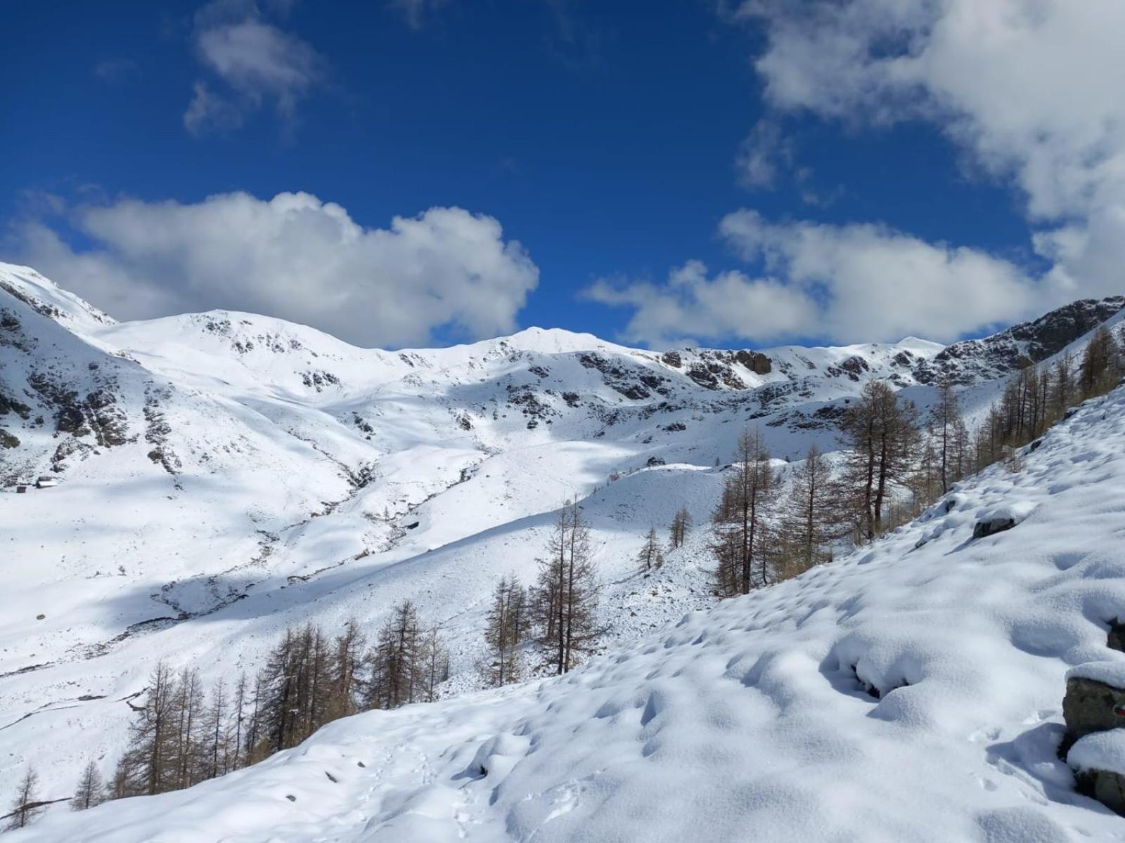 Appartamento Tres Agreable 2 Pieces Au Pied Des Pistes Valdeblore Esterno foto